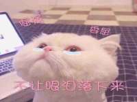 北京中御建科技有限公司