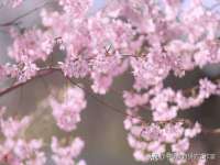 北京中御建科技有限公司