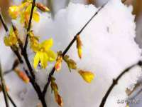 北京中御建科技有限公司