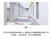 北京中御建科技有限公司