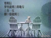 北京中御建科技有限公司