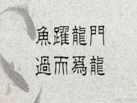 北京中御建科技有限公司