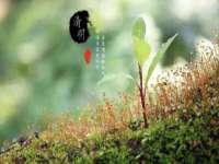 北京中御建科技有限公司