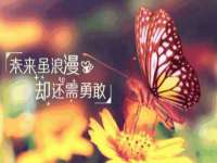 北京中御建科技有限公司