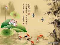 北京中御建科技有限公司