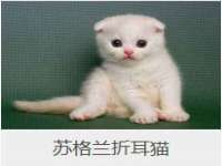 北京中御建科技有限公司