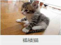 北京中御建科技有限公司