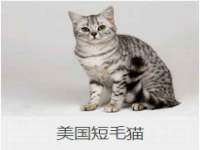 北京中御建科技有限公司