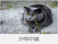 北京中御建科技有限公司