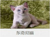 北京中御建科技有限公司