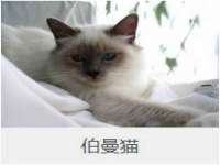 北京中御建科技有限公司