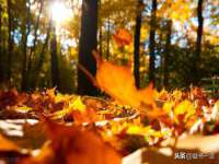北京中御建科技有限公司