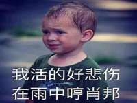 北京中御建科技有限公司