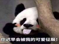 北京中御建科技有限公司