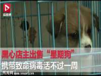 北京中御建科技有限公司
