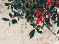 北京中御建科技有限公司