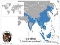 北京中御建科技有限公司