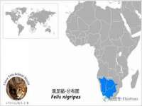 北京中御建科技有限公司