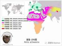 北京中御建科技有限公司