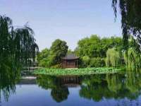 北京中御建科技有限公司
