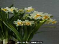 北京中御建科技有限公司