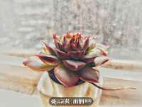 北京中御建科技有限公司