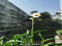 北京中御建科技有限公司