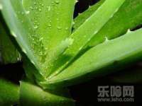 北京中御建科技有限公司