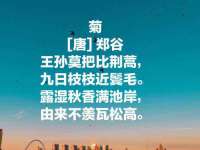 北京中御建科技有限公司