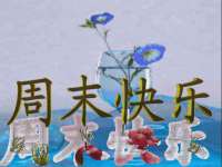 北京中御建科技有限公司