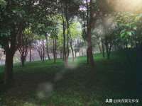 北京中御建科技有限公司