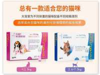 北京中御建科技有限公司