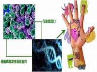 北京中御建科技有限公司