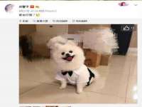 北京中御建科技有限公司