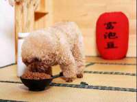 北京中御建科技有限公司