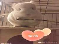 北京中御建科技有限公司