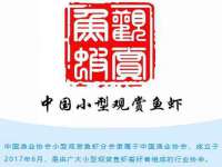 北京中御建科技有限公司