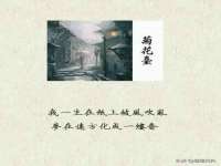 北京中御建科技有限公司