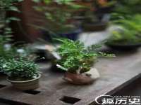 北京中御建科技有限公司