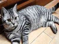 北京中御建科技有限公司