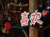 北京中御建科技有限公司