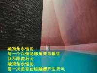 北京中御建科技有限公司