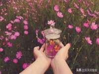 北京中御建科技有限公司