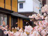 北京中御建科技有限公司