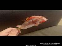 北京中御建科技有限公司